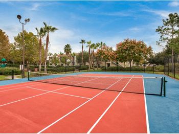 Tennis court